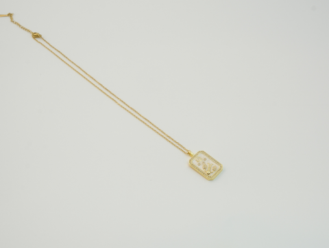 Yengeç Burcu Kolye | Çelik | Gold / Silver