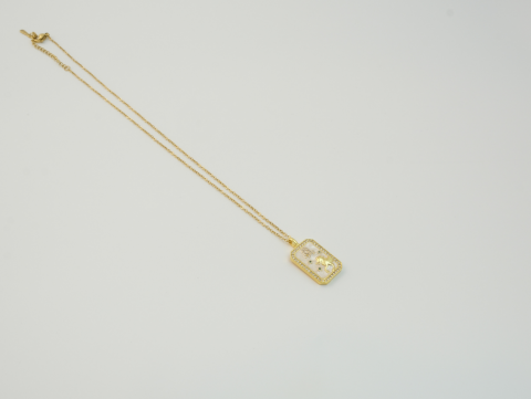 Aslan Burcu Kolye | Çelik | Gold / Silver