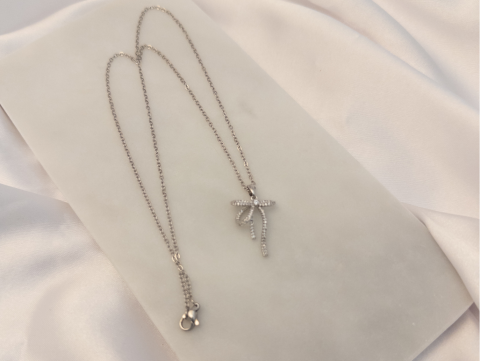 Küçük Kurdele Taşlı Kolye | Çelik | Silver