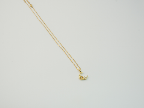 Taşlı Ay Kolye | Kararmaz | Çelik | Gold