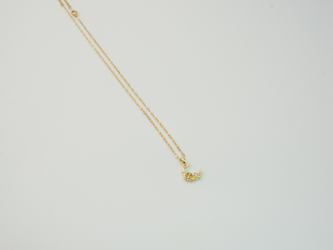 Taşlı Ay Kolye | Çelik | Gold