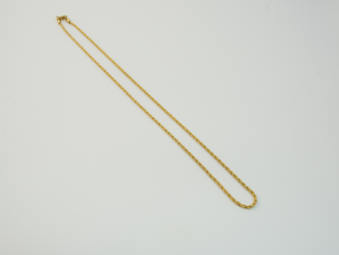 Uzun Zincir Kolye | Çelik | Gold