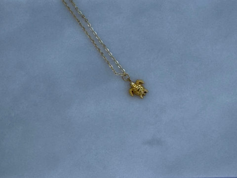 Minimal Minik Kaplumbağa Kolye | Kararmaz | Çelik | Gold
