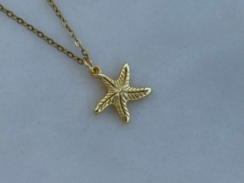Minimal Zarif Deniz Yıldızı Kolye | Kararmaz | Çelik | Gold