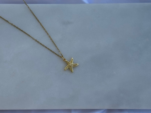 Minimal Zarif Deniz Yıldızı Kolye | Kararmaz | Çelik | Gold