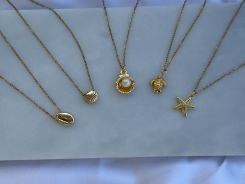 Minimal Minik İstiridye Kolye | Kararmaz | Çelik | Gold