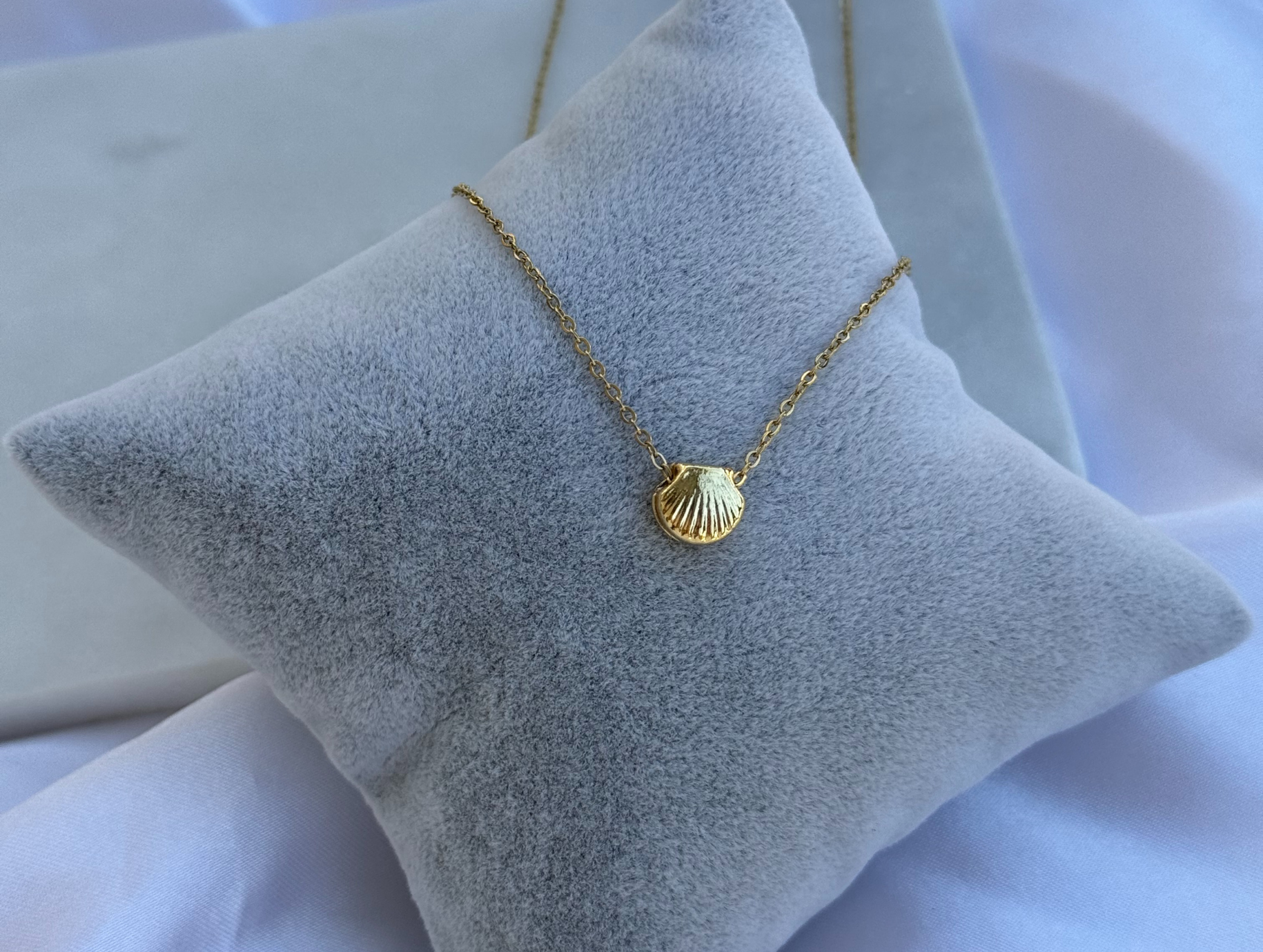 Minimal Minik İstiridye Kolye | Kararmaz | Çelik | Gold