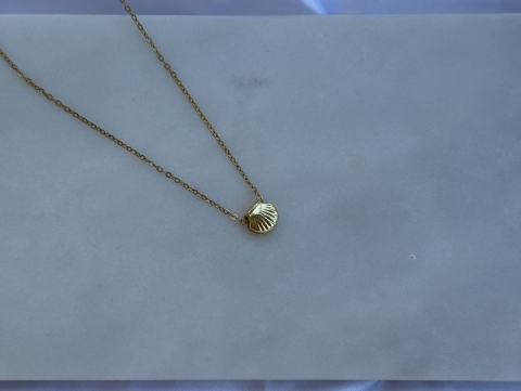 Minimal Minik İstiridye Kolye | Kararmaz | Çelik | Gold