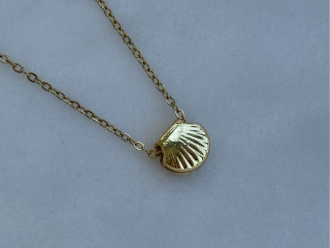 Minimal Minik İstiridye Kolye | Kararmaz | Çelik | Gold